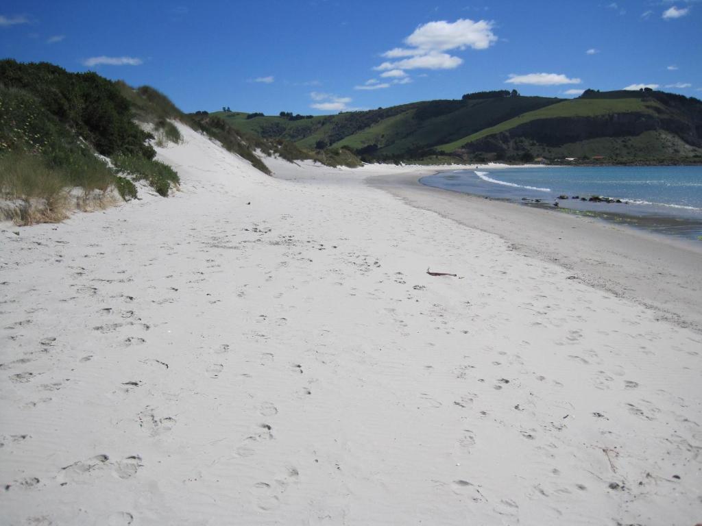 Amross Motel Dunedin Eksteriør bilde